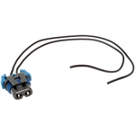 Order BWD AUTOMOTIVE - PT255 - Headlight Connecteur For Your Vehicle