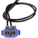 Order Connecteur lumière de plafonnier by DORMAN/TECHOICE - 645-628 For Your Vehicle