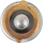 Order High Beam Indicator by PHILIPS - 53B2 For Your Vehicle