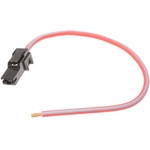 Order STANDARD - PRO SERIES - S843 - Connecteur de klaxon For Your Vehicle