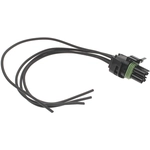 Order Idle Air Control Valve Connector (Fuel Injected) by BWD AUTOMOTIVE - PT773 For Your Vehicle