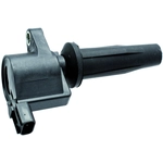 Order FACET - 9.6380 - Ignition Coil For Your Vehicle
