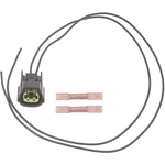 Order BLUE STREAK (HYGRADE MOTOR) - S2907 - Sensor Connector For Your Vehicle