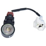 Order WALKER PRODUCTS - 242-1038 - Ignition Knock Sensor For Your Vehicle