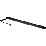 Order DORMAN (OE SOLUTIONS) - 747-054 - Liftgate Cylinder For Your Vehicle