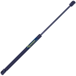 Order TUFF SUPPORT - 611639 - Liftgate Lift Support For Your Vehicle