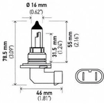 Order Phare de croisement by HELLA - H71071432 For Your Vehicle