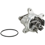 Order DAYCO - DP1501 - New Water Pump For Your Vehicle