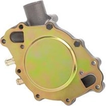 Order New Water Pump by DAYCO - DP810 For Your Vehicle