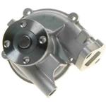 Order New Water Pump by GATES - 41010 For Your Vehicle