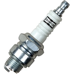 Order Non Resistor Copper Plug (Pack of 4) by CHAMPION SPARK PLUG - 841-1 For Your Vehicle