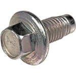 Order DORMAN/AUTOGRADE - 65430 - Oil Drain Plug For Your Vehicle