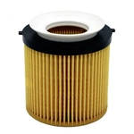 Order HENGST FILTER - E819H-D240 - Engine Oil Filter For Your Vehicle