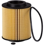 Order PRONTO FILTERS - PO5646EX - Oil Filter For Your Vehicle