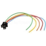 Order BWD AUTOMOTIVE - PT193 - Multi Purpose Relay Connector For Your Vehicle