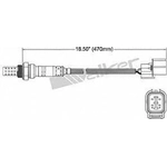 Order Oxygen Sensor by WALKER PRODUCTS - 250-241042 For Your Vehicle