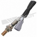 Order Oxygen Sensor by WALKER PRODUCTS - 250-24487 For Your Vehicle