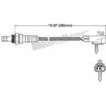 Order Oxygen Sensor by WALKER PRODUCTS - 350-34047 For Your Vehicle