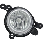 Order Passenger Side Fog Lamp Assembly - KI2593132C For Your Vehicle