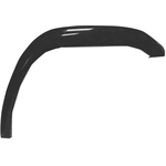 Order Passenger Side Front Fender Flare - NI1269101 For Your Vehicle