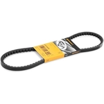 Order CONTINENTAL - 13X875 - V-Belt For Your Vehicle