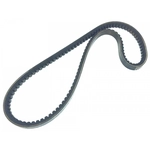 Order ROAD MAX - 17345AP - High Capacity V-Belt For Your Vehicle