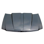 Order Pro EFX™ Cowl Induction Hood Panel - EFXFRD97V3 For Your Vehicle