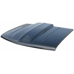 Order Pro EFX - EFXC1088V1- Cowl Induction Hood Panel For Your Vehicle