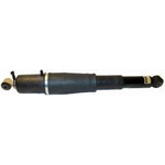 Order Rear Air Adjustable Shock by WESTAR INDUSTRIES - AS7406 For Your Vehicle