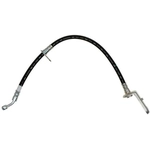 Purchase Rear Brake Hose by RAYBESTOS - BH382553