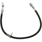 Purchase Rear Brake Hose by RAYBESTOS - BH382627