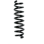 Order Rear Coil Springs by SUPLEX PARTS - 06273 For Your Vehicle