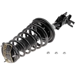 Order Rear Complete Strut Assembly by EVOLUTION - V171585 For Your Vehicle