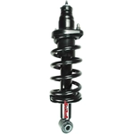 Order FCS AUTOMOTIVE - 1345416R - Assemblage de jambe de force arrière complet For Your Vehicle