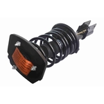 Order GSP NORTH AMERICA - 810076 - Suspension Strut and Coil Spring Assembly - Rear Right For Your Vehicle