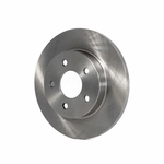 Order TRANSIT WAREHOUSE - 8-580243 - Rotor de frein à disque arrière For Your Vehicle