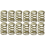 Order Rear Hold Down Spring (Pack of 12) by RAYBESTOS - H1150 For Your Vehicle