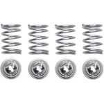 Purchase Rear Hold Down Spring (Pack of 4) by RAYBESTOS - H1160