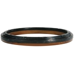 Order TIMKEN - SL260006 - Rear Crankshaft Seal For Your Vehicle