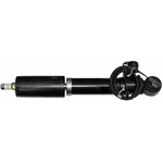 Order Rear OESpectrum Shock by MONROE/EXPERT SERIES - C1501 For Your Vehicle