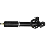 Order Rear OESpectrum Shock by MONROE/EXPERT SERIES - C1503 For Your Vehicle