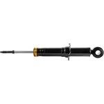 Purchase MONROE/EXPERT SERIES - 72599 - Rear OESpectrum Strut