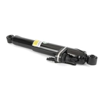 Order ARNOTT - SK5018 - Suspension Shock Absorber For Your Vehicle