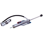 Order BILSTEIN - 25-316230 - Shock Absorber For Your Vehicle