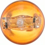 Order PHILIPS - 7440NALLB2 - Rear Turn Signal For Your Vehicle