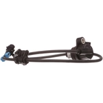 Order Rear Wheel ABS Sensor by DELPHI - SS20911 For Your Vehicle