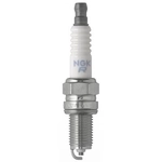 Order NGK CANADA - 3932 - Spark Plugs For Your Vehicle