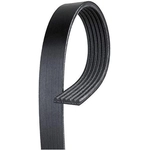 Order ACDELCO - 6K905 - V-Ribbed Serpentine Belt For Your Vehicle