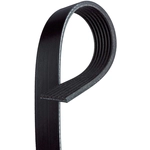 Order ACDELCO - 7K795 - Standard V-Ribbed Serpentine Belt For Your Vehicle