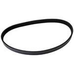 Order CONTINENTAL - 4040342 - Serpentine Belt - Automotive V-Belt For Your Vehicle